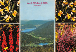 68-VALLEE DES LACS DES VOSGES-N°3944-D/0387 - Other & Unclassified