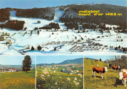 25-METABIEF MONT D OR-N°3944-D/0381 - Other & Unclassified