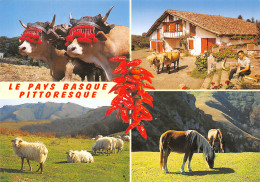 64-PAYS BASQUE-N°3947-A/0123 - Autres & Non Classés