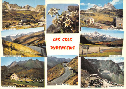 65-LES COLS DES PYRENEES-N°3947-A/0025 - Other & Unclassified