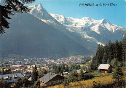 74-CHAMONIX-N°3946-D/0165 - Chamonix-Mont-Blanc