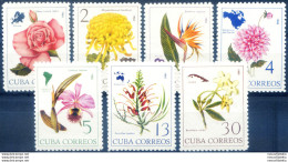 Flora. Fiori 1965. - Altri & Non Classificati