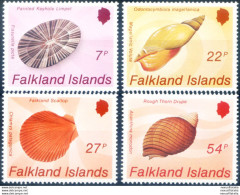 Conchiglie 1986. - Falklandeilanden
