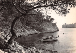 13-CASSIS-N°3948-C/0313 - Cassis