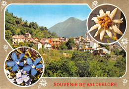 06-LA BOLLINE VALDEBLORE-N°3948-A/0305 - Autres & Non Classés