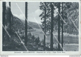 T775 Cartolina Bellamonte Dintorni Lago Forte Buso Provincia Di Trento - Trento