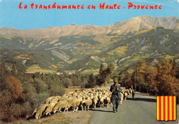 04HAUTE PROVENCE TRANSHUMANCE-N°4001-D/0109 - Autres & Non Classés