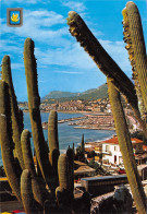 06-MENTON-N°4001-D/0039 - Menton