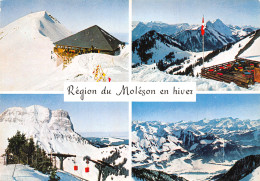 SUI-REGION DU MOLESON-N°4001-D/0029 - Other & Unclassified