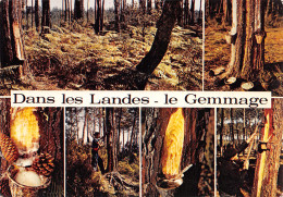 40-LES LANDES LE GEMMAGE-N°4001-C/0189 - Autres & Non Classés