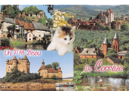 19-LA CORREZE-N°4001-B/0355 - Other & Unclassified