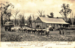 CPA   Loading For Despatch  Gros Attelage Vaches (animée) Adressee A Delaunay Amiens  A 96 - Sonstige & Ohne Zuordnung