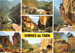 48-GORGES DU TARN-N°4002-A/0391 - Gorges Du Tarn