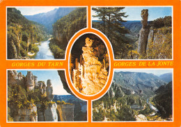 48-GORGES DU TARN-N°4002-A/0159 - Gorges Du Tarn