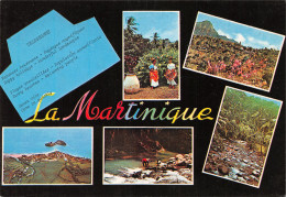 972-LA MARTINIQUE-N°4002-A/0157 - Andere & Zonder Classificatie