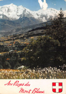 74-PAYS DU MONT BLANC-N°4002-A/0025 - Sonstige & Ohne Zuordnung