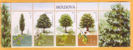 2018 Moldova Moldavie "The Main Tree Species In Moldova": Oak, Chestnut, Ash, Maple Mint. - Alberi