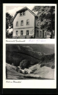 AK Gemeinreuth Im Frankenwald, Blick Ins Thiemitztal, Gasthaus Und Pension Gemeinreuth  - Autres & Non Classés