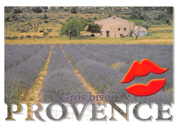 83-PROVENCE-N°4001-D/0303 - Other & Unclassified