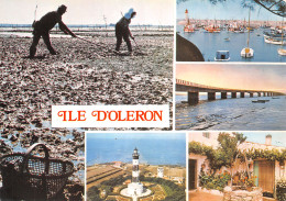 17-ILE D OLERON-N°4001-D/0239 - Ile D'Oléron