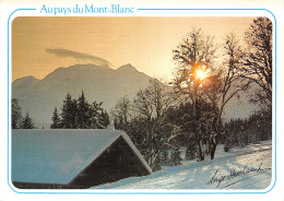 74-PAYS DU MONT BLANC-N°4002-D/0175 - Other & Unclassified