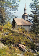 74-SAMOENS-N°4002-D/0147 - Samoëns