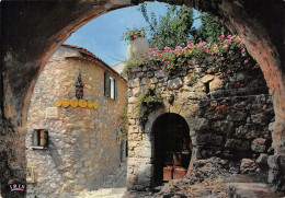 06-EZE VILLAGE-N°4002-C/0227 - Eze