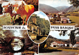 64-PAYS BASQUE-N°4002-B/0055 - Andere & Zonder Classificatie