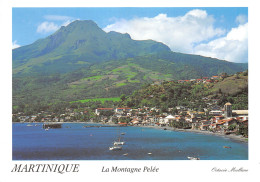 972-MARTINIQUE-N°4003-A/0365 - Andere & Zonder Classificatie