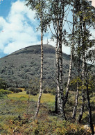 63-LE PUY DU DOME-N°4003-A/0013 - Autres & Non Classés