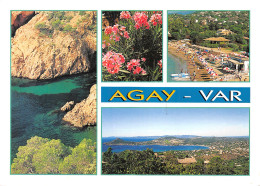 83-AGAY-N°4003-B/0247 - Other & Unclassified