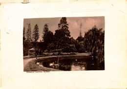 CPA   Botanical Gardens Sydney (animée) Adressee A Delaunay Amiens  A 98 - Autres & Non Classés
