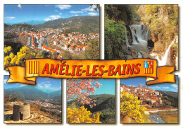 66-AMELIE LES BAINS-N°4003-D/0277 - Andere & Zonder Classificatie