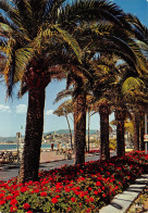 06-CANNES-N°4004-C/0391 - Cannes