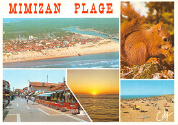 40-MIMIZAN PLAGE-N°4004-C/0229 - Mimizan