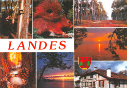 40-LES LANDES-N°4004-B/0257 - Andere & Zonder Classificatie