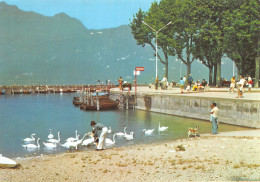 73-AIX LES BAINS-N°4004-B/0101 - Aix Les Bains