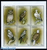 Liberia 1999 Birds Of Prey 6v M/s, Uhu, Mint NH, Nature - Birds - Birds Of Prey - Owls - Other & Unclassified