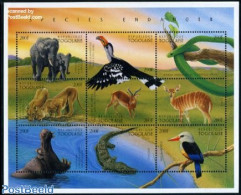 Togo 1996 Endangered Animals 9v M/s, Mint NH, Nature - Animals (others & Mixed) - Birds - Cat Family - Crocodiles - El.. - Togo (1960-...)