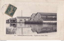 X15-47) CASTELJALOUX - PAPETERIE DE VALLON D ' EAU - EDIT. MAISON DUPIN - E. DUPIN ET J. CASTEX - 1913 - Casteljaloux