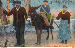 65) SCENES ET TYPES DES PYRENEES  - PAYSANS AVEC ENFANT A DOS D ' ANE COLORISEE - CORREPONDANCE DE LOURDES - ( 2 SCANS ) - Autres & Non Classés