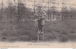 X9-40) LANDES - ECHASSIER DANS LES PIGNADARS - EDIT. F. BERNEDE ARJUZANX - 1906 - ( 2 SCANS ) - Autres & Non Classés