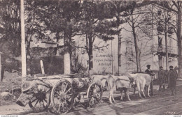 X8-65) LOURDES - TYPES LOCAUX - ATTELAGE DES PYRENEES - ( 2 SCANS ) - Lourdes