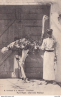 X4- PORT SAID  (EGYPTE) OSTRICH ' S  FARMER  - ELEVEUR D AUTRUCHE -  EDIT. H. GRIMAUD & A. MANICOS - PORT SAID - 2 SCANS - Puerto Saíd