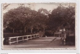 X1- ISMAILIA - EGYPT - EGYPTE - CARTE PHOTO - UNE ALLEE REVENANT AU BAC   - ( 2 SCANS ) - Ismailia