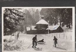31 - LUCHON - Sous La Neige - Jeunes Skieurs Dans Le Parc Des Quinconces - Luchon