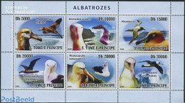 Sao Tome/Principe 2008 Albatross Birds 6v M/s, Mint NH, Nature - Birds - Sao Tome Et Principe