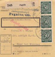 Paketkarte 1948: Pegnitzhütte AG In Pegnitz Nach Haar - Lettres & Documents