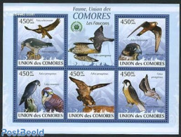 Comoros 2009 Falcons 5v M/s, Mint NH, Nature - Birds - Birds Of Prey - Isole Comore (1975-...)