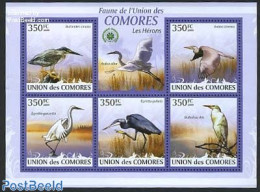 Comoros 2009 Herons 5v M/s, Mint NH, Nature - Birds - Comoren (1975-...)